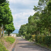 運動公園盛夏の風景その１