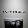 加藤秀 作品展＠Sony Imaging Gallery　2024年1月13日（土）