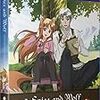 2021年01月01日の投げ売り情報（北米アニメ）