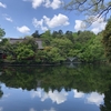 日焼け&虫対策始めました〜2024初夏〜