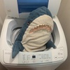サメを洗って夏が終わる。