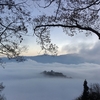 雲海の越前大野城