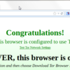 Tor Browser Bundle 3.5 と玉ねぎアイコン