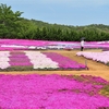 えっさんの花園めぐり（8）