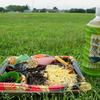 Simple Picnic