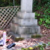 お墓のミツバチの巣の除去