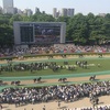 東京競馬11R ヴィクトリアマイル パドック直前予想◎2 スマートレイアー