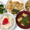 あさイチ・日常ご飯が変化!手作りから冷凍おかずで手軽においしく
