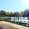 秋の神代植物公園