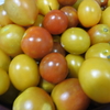 今日は何の日・野菜の日