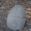 白幡神社の力石