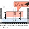 絶対にひっからないクモスポーンブロックトラップの解説