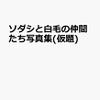 （白毛のGⅠ馬）ソダシと白毛の仲間たち写真集