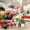 佐世保店 クリスマスウインターギフト 展示販売会開催中です✨
