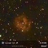 星見娘で電視観望5105(C19 Cocoon Nebura in Cyg)