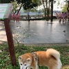 人気アイス🍦屋さんの有る公園