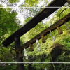 京都嵐山千年の恋の舞台『野宮神社』源氏物語ゆかりの悲恋物語が息づく縁結びパワースポット