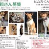 里親さん募集情報２点