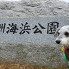 “高洲海浜公園（後編）”愛犬とおでかけ-千葉県観光🎵　2021年1月11日