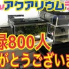 チャンネル登録800人ありがとう‼︎