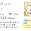 🐈 マイケルのプロフィール
