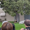 達者でな🐼和歌山でパンダに会いに行きました【アドベンチャーワールド】