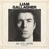 「As You Were / Liam Gallagher」 が最高だという話。