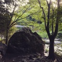Live in the WILD.