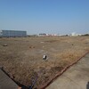 2025年度森ヶ崎屋上営巣地春の営巣地整備作業を無事に終了いたしました。