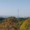 地元の低山を登ってきました