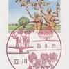 2009年８月25日＜119＞立川郵便局・諏訪神社獅子舞