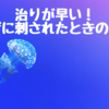 【治りが早い】クラゲに刺されたときにすべき対処法