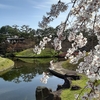 京都ぶらり　本日の一枚　梅小路公園　朱雀の庭