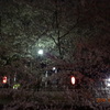 2014.04.04夜桜＠神田川