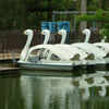 ２０２３／０４／１４　東武動物公園
