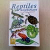 Reptiles