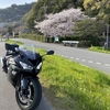バイク点検と桜ツーリングに行ってきた話をしていきたいと思う