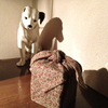 ベンチ・ウォーマー