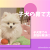 子犬の育て方〜トイレの失敗、抱っこ散歩、しつけの仕方などのまとめページ
