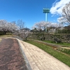 ◆その他　桜の風景をに惹かれちょっと寄り道