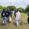 2025年4月27日🐾 今日のマヤ暦