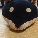 しょうゆ日記
