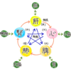 爪は、何と関係しているのか？