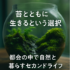 苔とともに生きるという選択　〜都会の中で自然と暮らすセカンドライフ〜