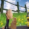 Search Top Movers and Packers Hyderabad