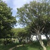 梅林公園