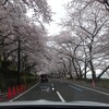 久しぶりの湖北です。