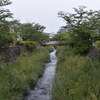 一の坂の水は甘いぞ