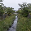 一の坂の水は甘いぞ