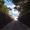 額田駅から行ける人は行ってみて、日本一（？）の酷道308号線の最寄り駅はココ
